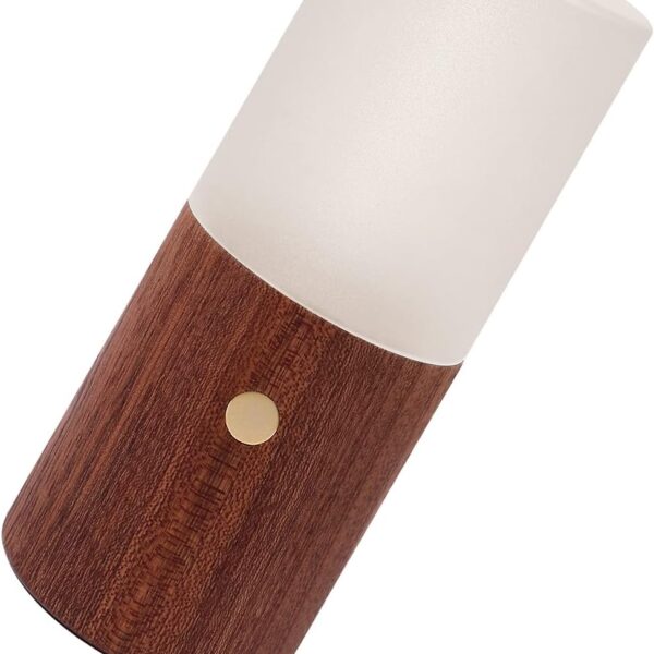 Acrylic Gravity Sensor Touch Lamp RGB Sapele